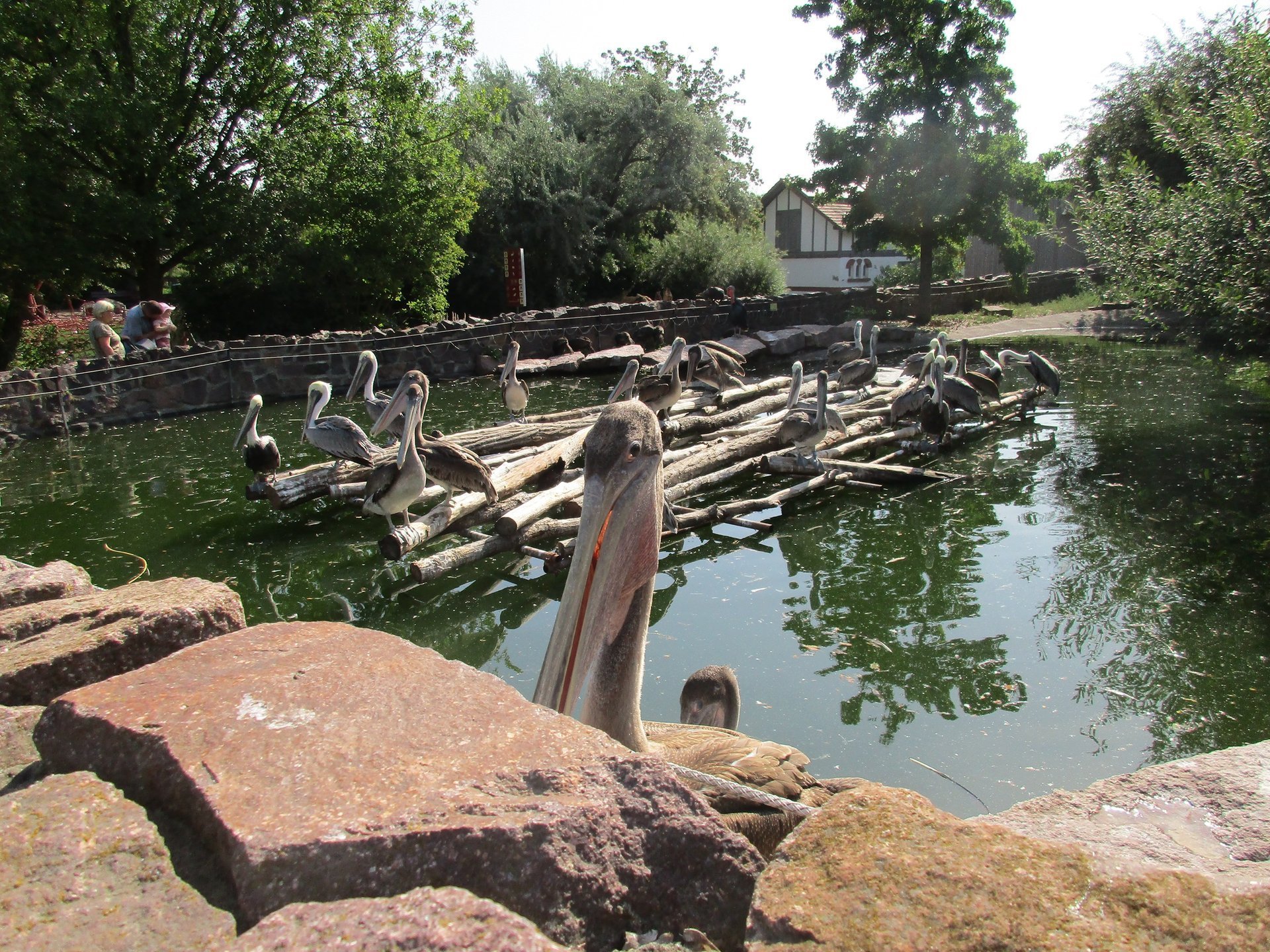 Tierische Begegnungen im Bergzoo Halle
