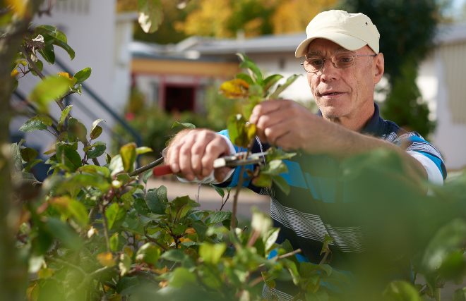 Arbeitsbereich Landschaftspflege